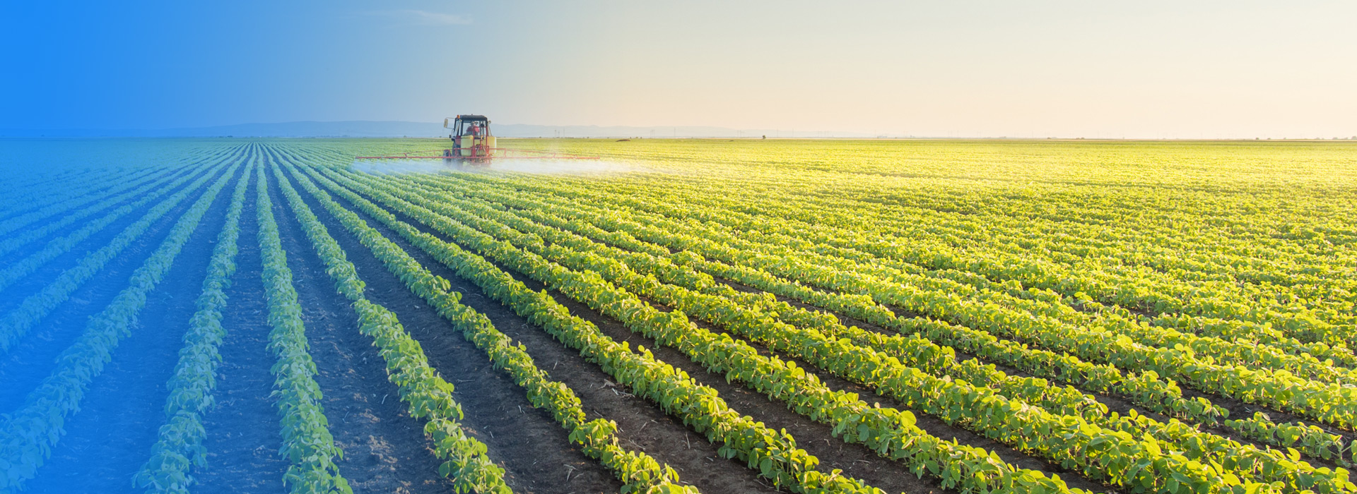 腾博会官网农业公司