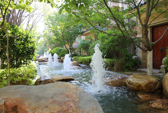 腾博会官网集团